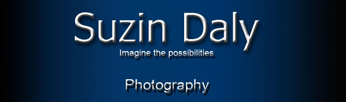 Photography, graphic design, art, video editing, Suzin Daly